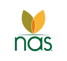 Nas